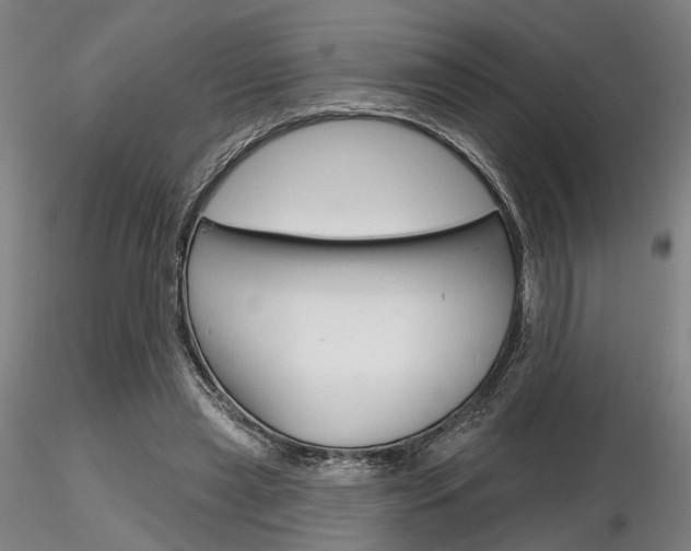 X0000116850445200912220945