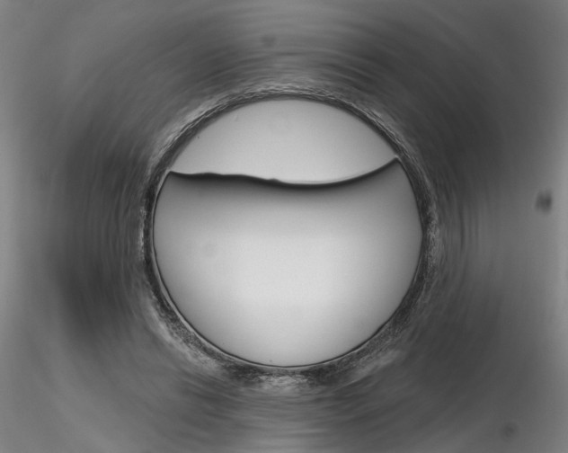 X0000116850446200912220945