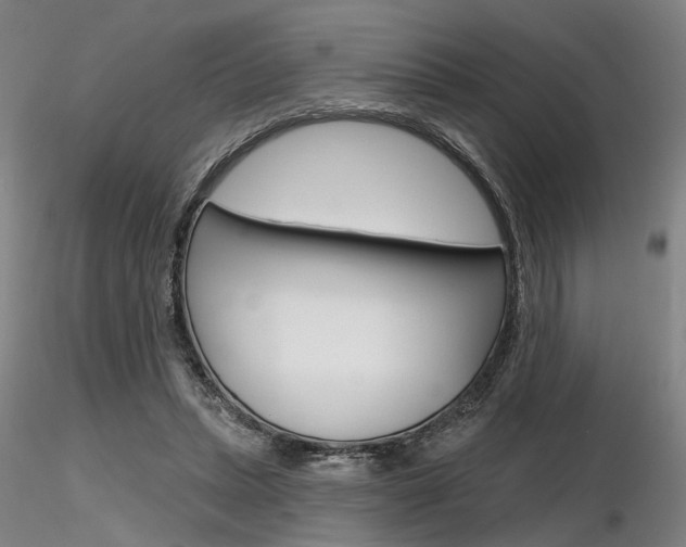 X0000116850447200912220945