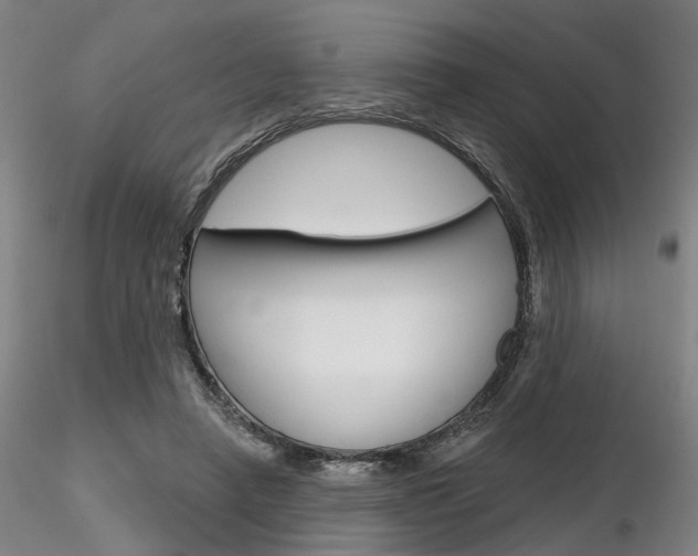 X0000116850450200912220945
