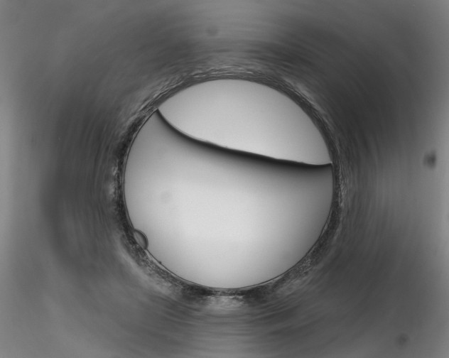 X0000116850451200912220945