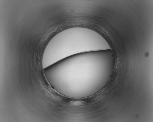 X0000116850452200912220945
