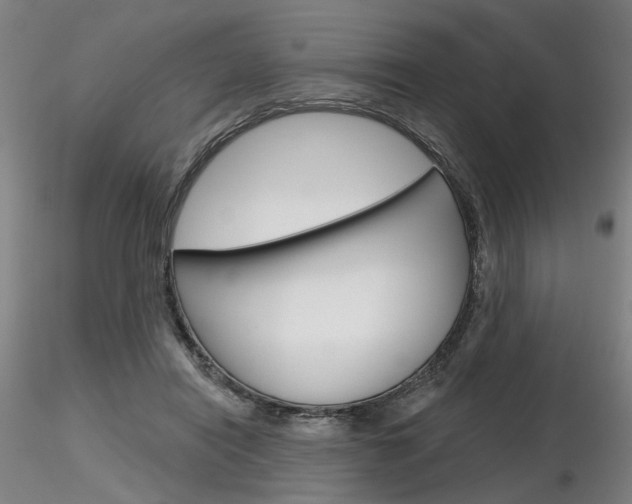 X0000116850454200912220945