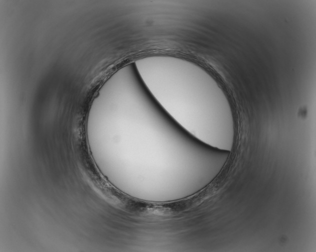 X0000116850455200912220945