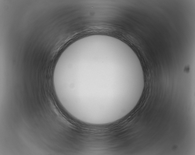 X0000116850456200912220945