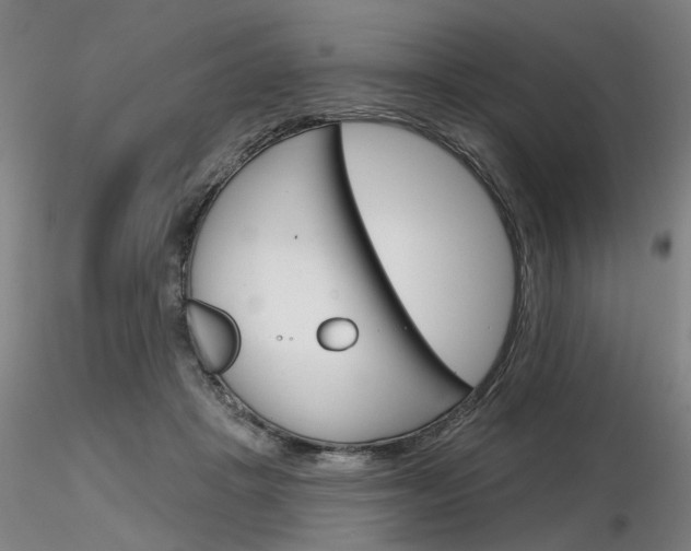 X0000116850457200912220945