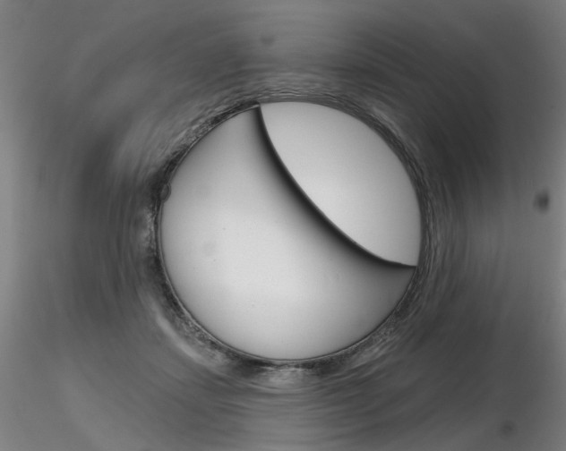 X0000116850459200912220945