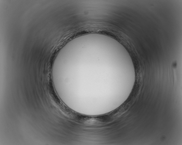 X0000116850460200912220945