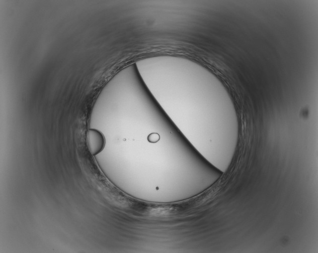 X0000116850461200912220945