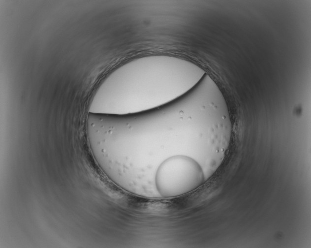 X0000116850462200912220945