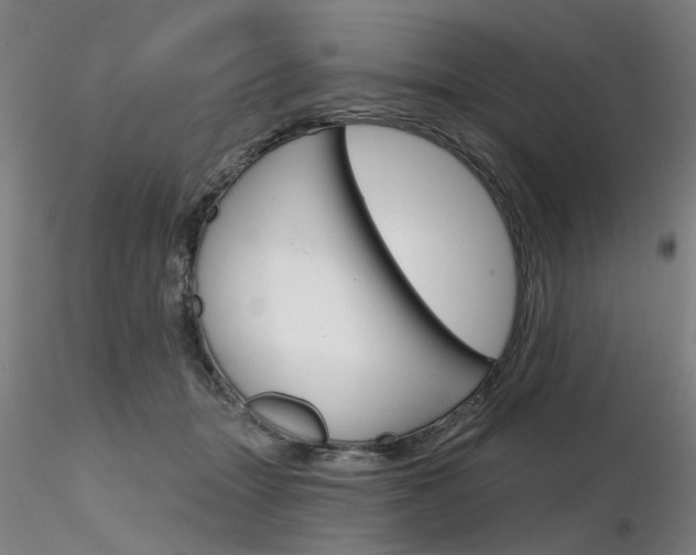 X0000116850463200912220945