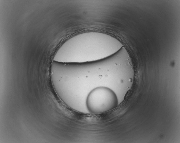 X0000116850466200912220945