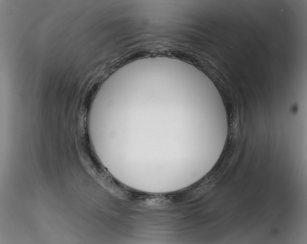 X0000116850468200912220945