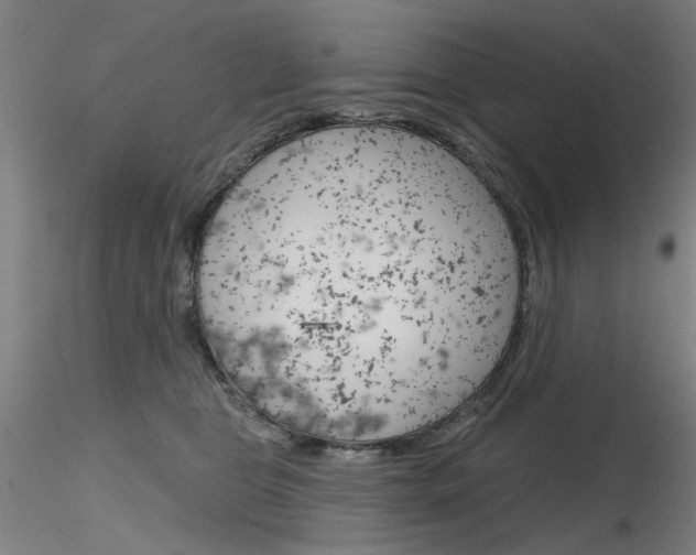 X0000116850469200912220945