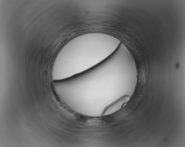 X0000116850470200912220945