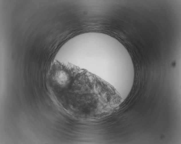 X0000116850471200912220945