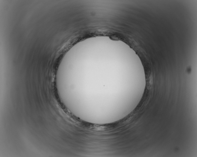 X0000116850472200912220945