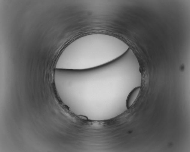X0000116850474200912220945