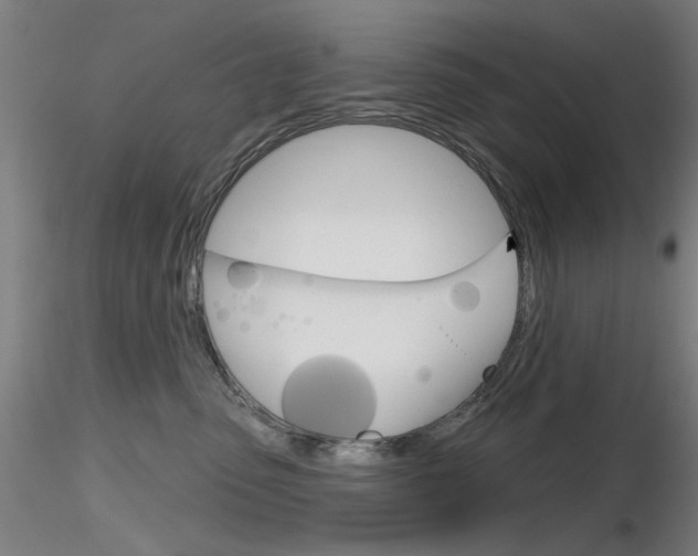X0000116850475200912220945