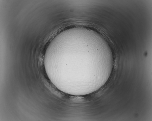 X0000116850476200912220945