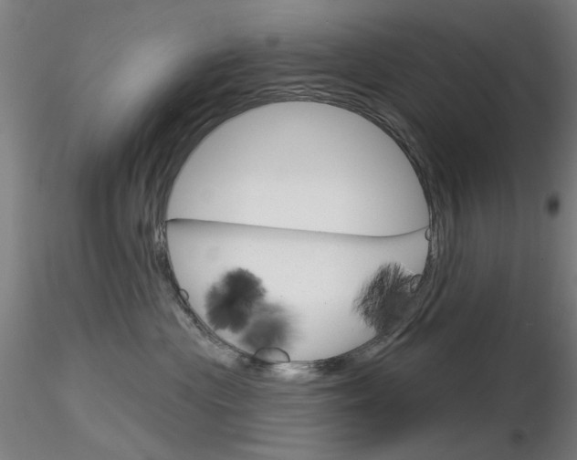 X0000116850477200912220945