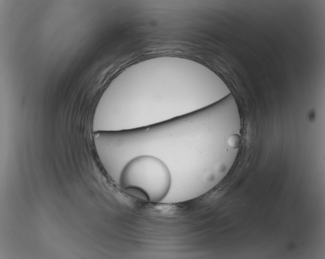 X0000116850478200912220945