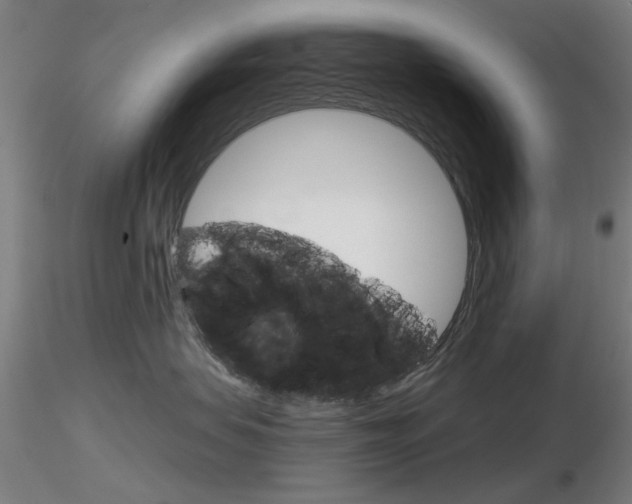X0000116850479200912220945