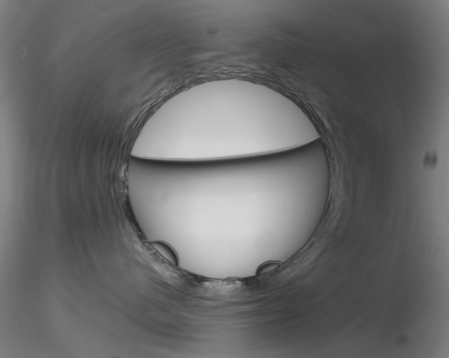 X0000116850480200912220945