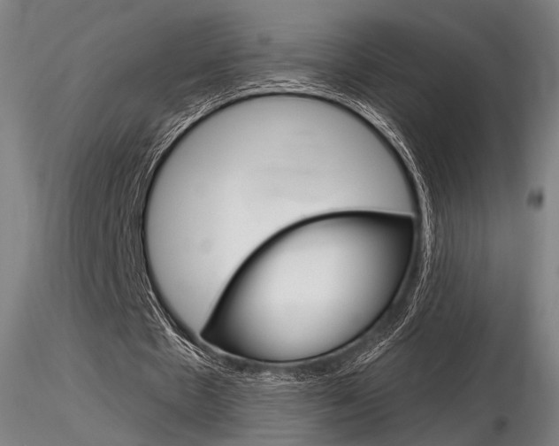 X0000116850481200912220945
