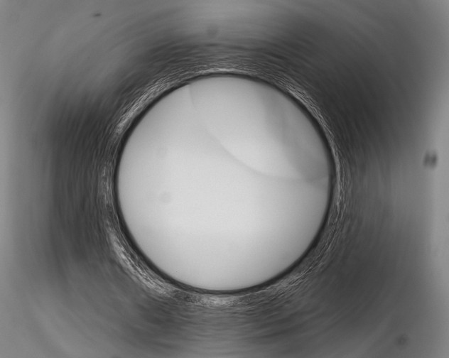 X0000116850482200912220945