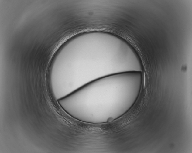 X0000116850483200912220945