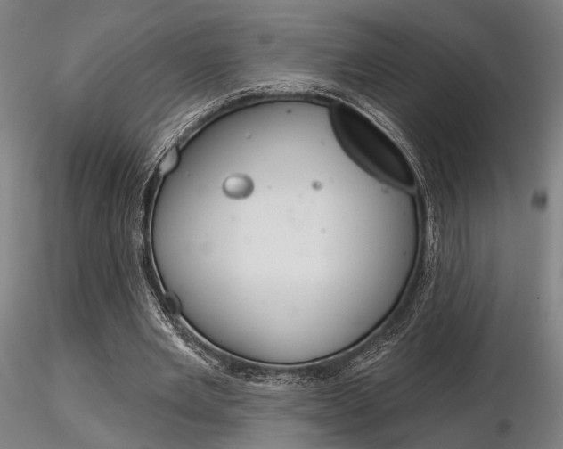 X0000116850485200912220945