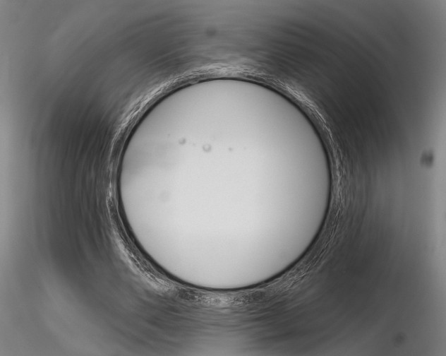 X0000116850486200912220945