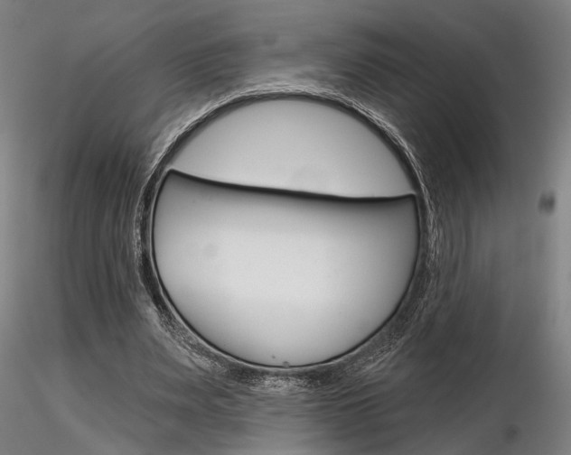 X0000116850487200912220945