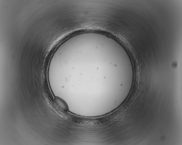 X0000116850488200912220945