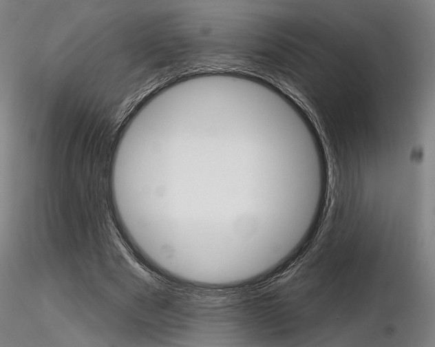 X0000116850489200912220945