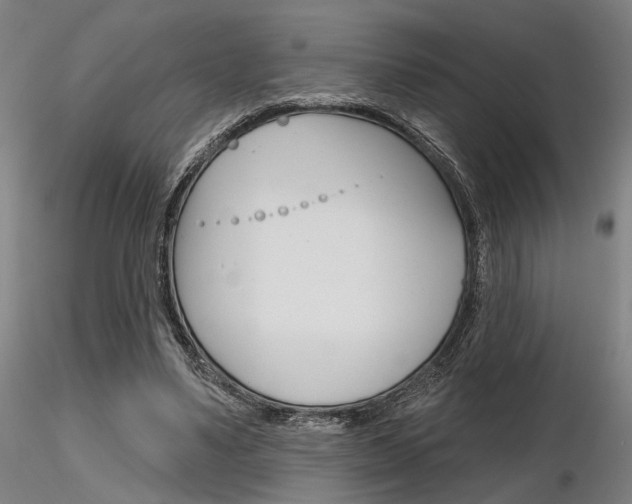 X0000116850491200912220945