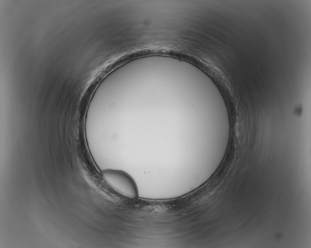 X0000116850492200912220945
