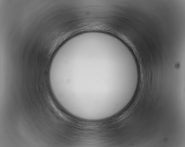 X0000116850493200912220945