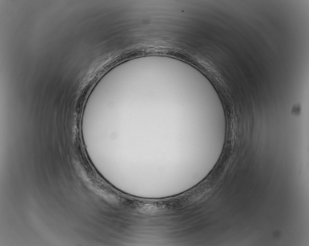 X0000116850494200912220945