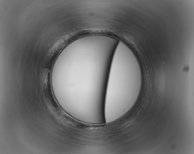 X0000116850495200912220945