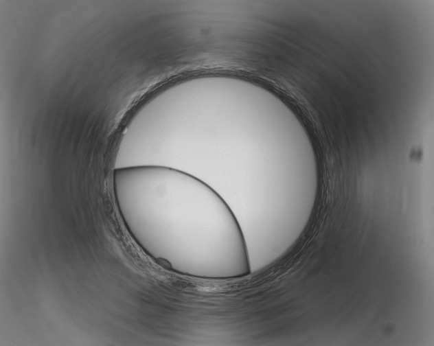 X0000116850496200912220945