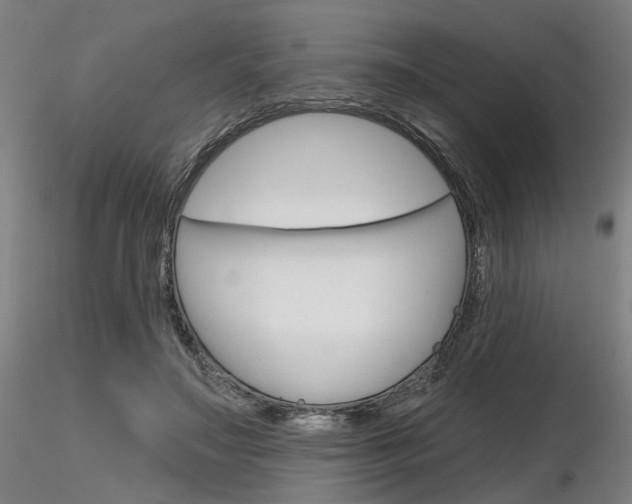 X0000116850499200912220945