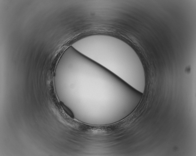 X0000116850500200912220945