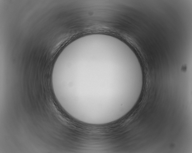 X0000116850501200912220945