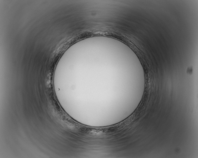 X0000116850502200912220945
