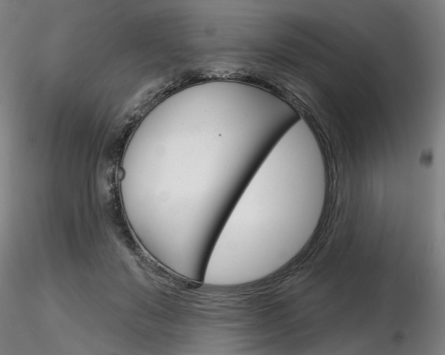 X0000116850503200912220945