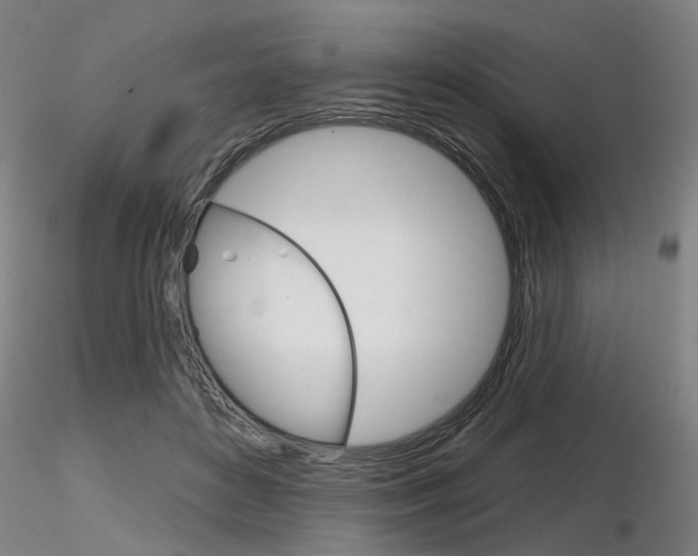 X0000116850504200912220945