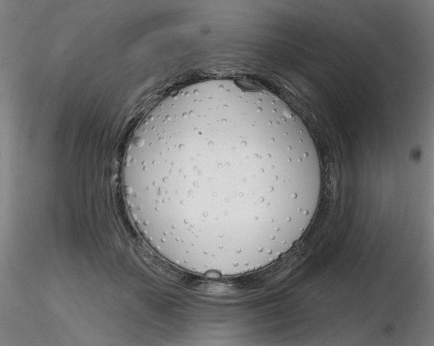 X0000116850507200912220944