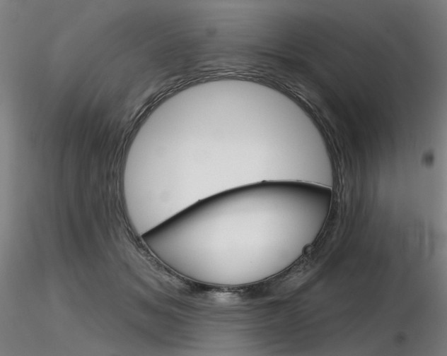 X0000116850509200912220944